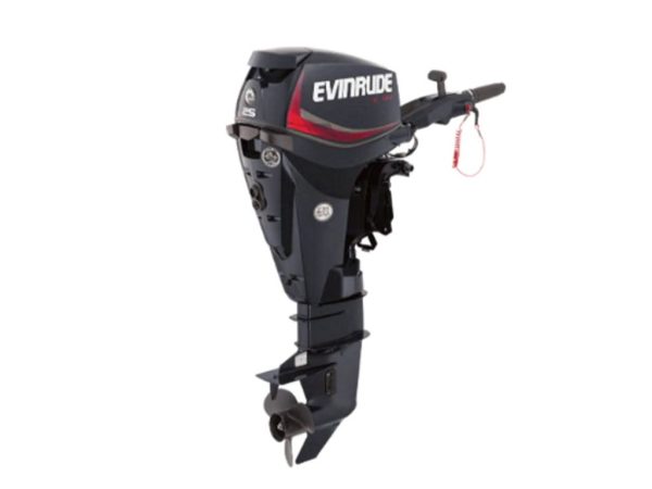 Evinrude E25DGTE