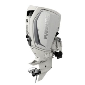 Evinrude H225HWLF 225 HO Outboard Motor