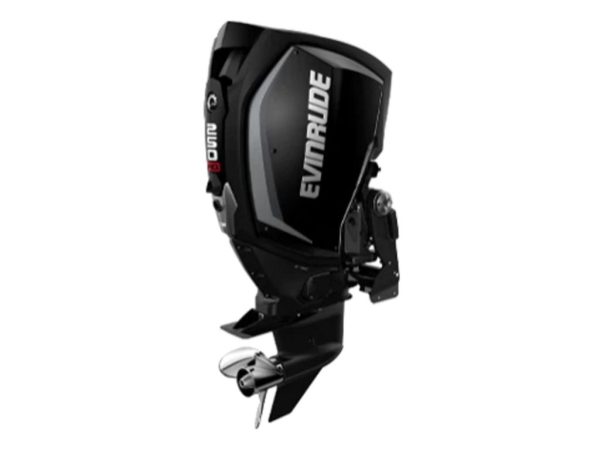 Evinrude H250HGLF 250HO Outboard Motor 1