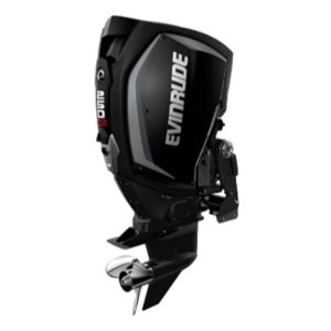 Evinrude H250HGXC 250 HO Outboard Motor